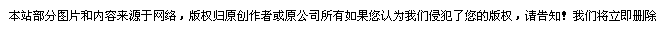 版权
